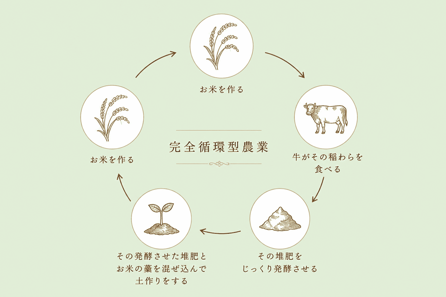 のざわさんち 完全循環型農業へのこだわり