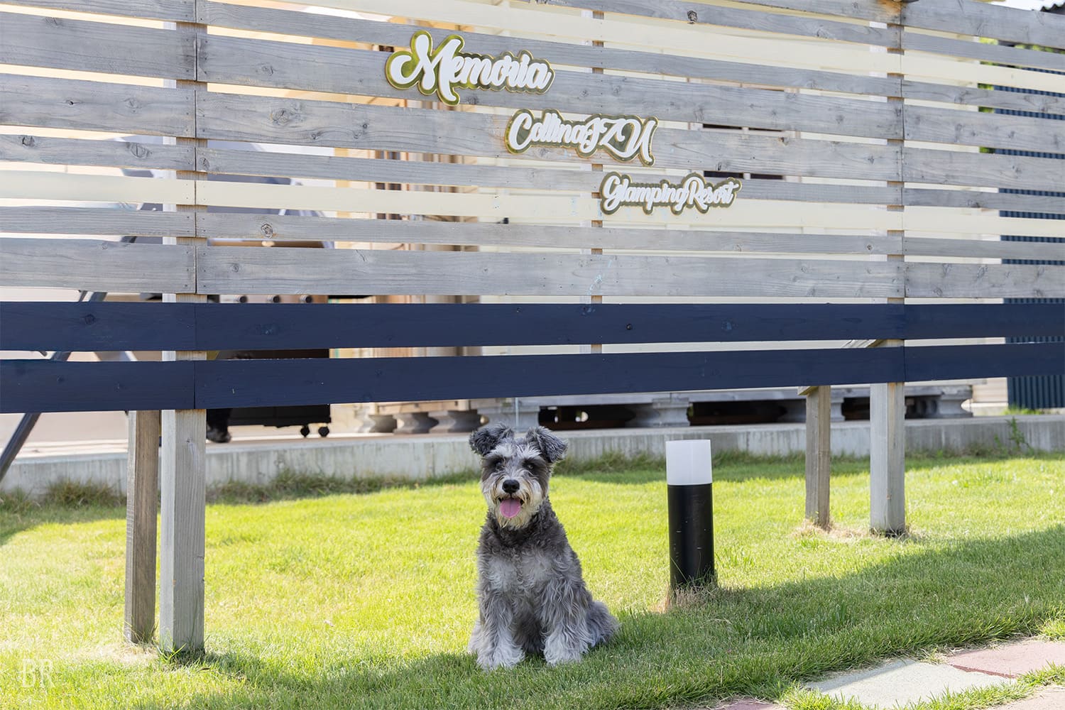 Dog Friendly TOP画像