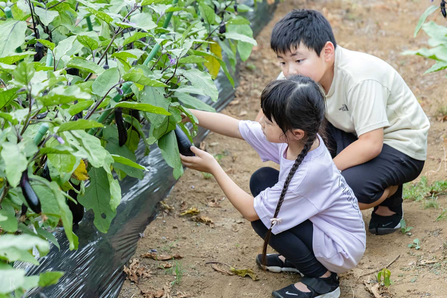 命の恵みを、その手で収穫する