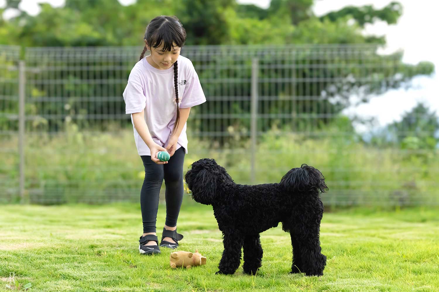 愛犬と、心を通わせるひととき