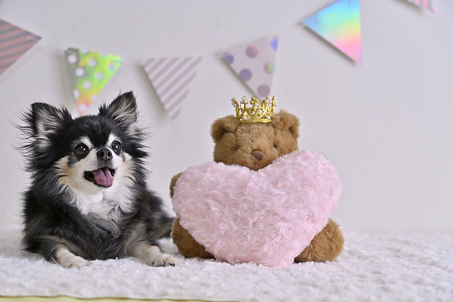 バースデープレゼント