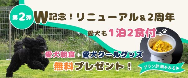 第2弾