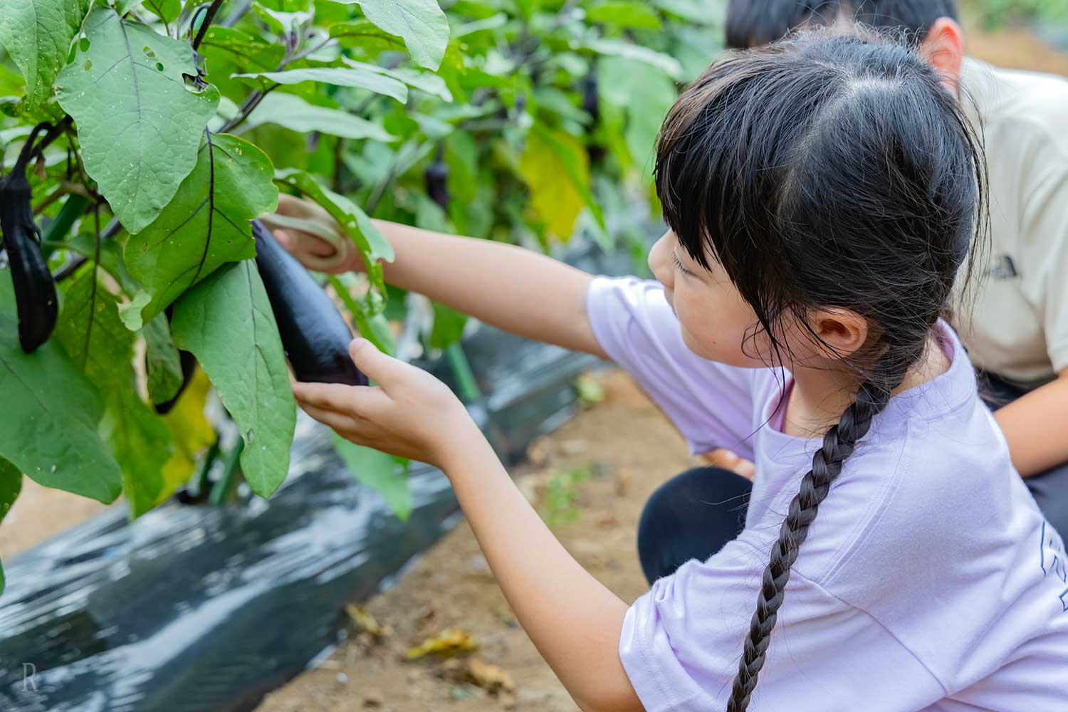 自分の手で、記憶に残る食育体験に