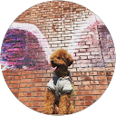 Yuusuke Takusagawa profile picture